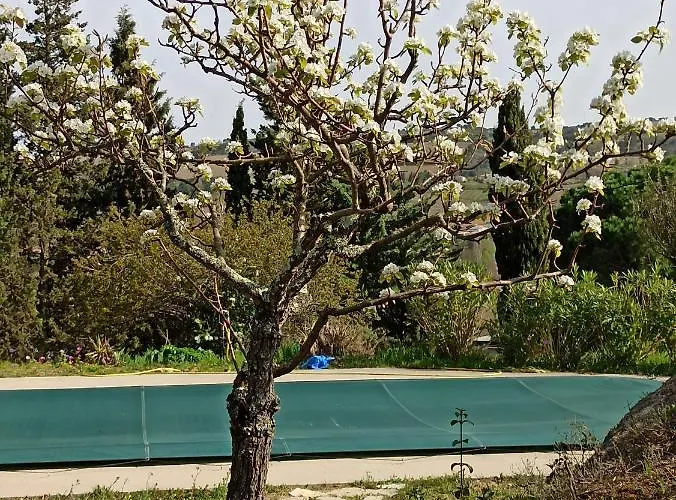 Le Rocher Au Thym Casa de Férias